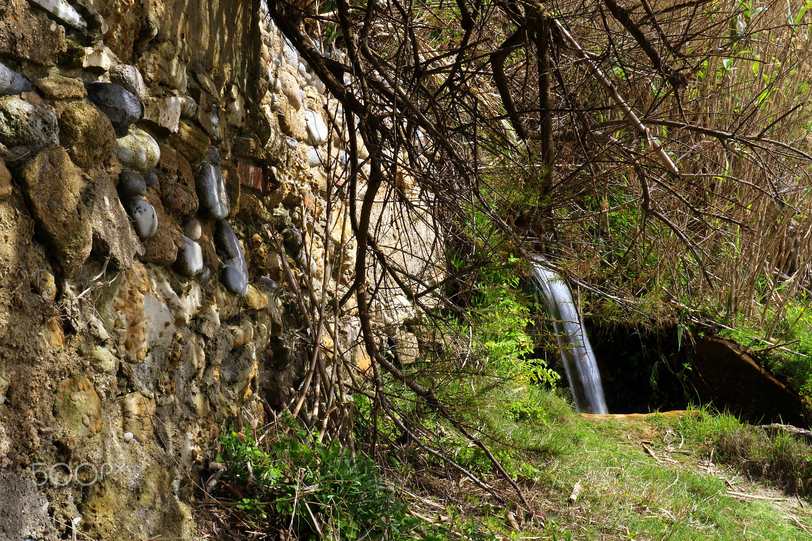 Canon EF 24-70mm F4L IS USM sample photo. Riacho photography