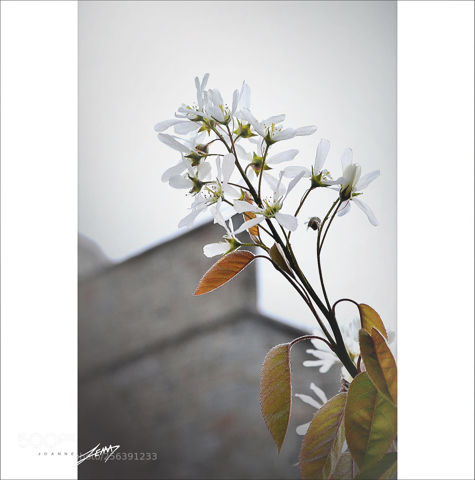 Nikon D3100 sample photo. Untitled photography