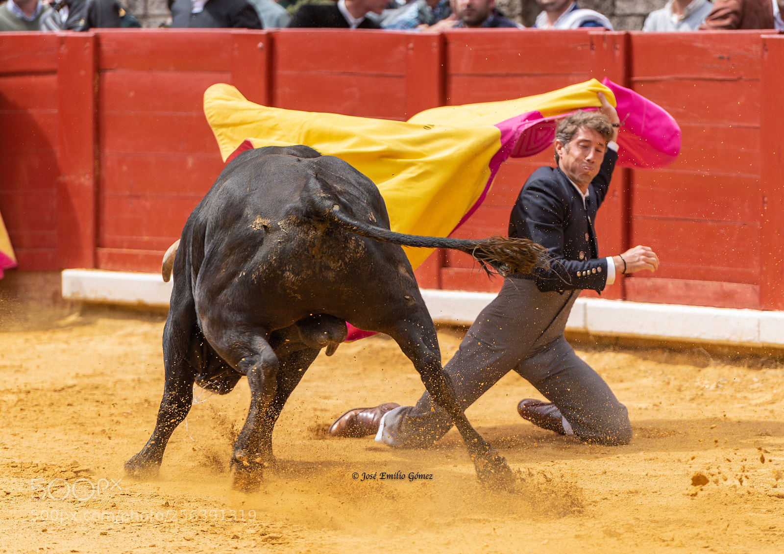 Nikon D750 sample photo. Arte photography