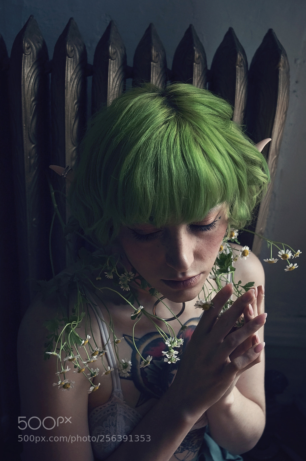 Nikon D700 sample photo. Untitled photography