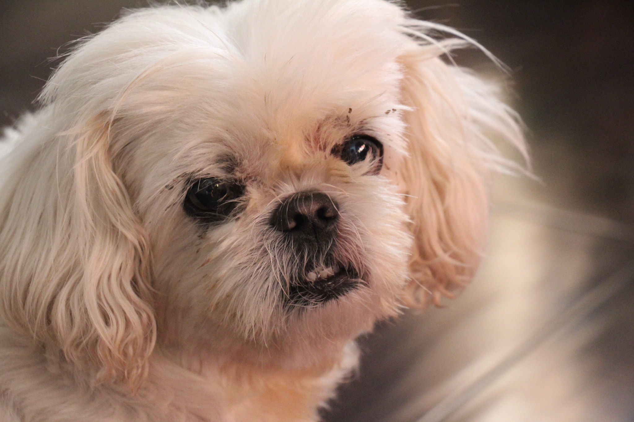 Canon EOS 650D (EOS Rebel T4i / EOS Kiss X6i) sample photo. Img photography