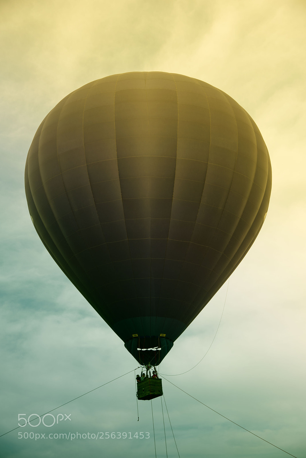 Nikon D750 sample photo. Hot air balloon photography