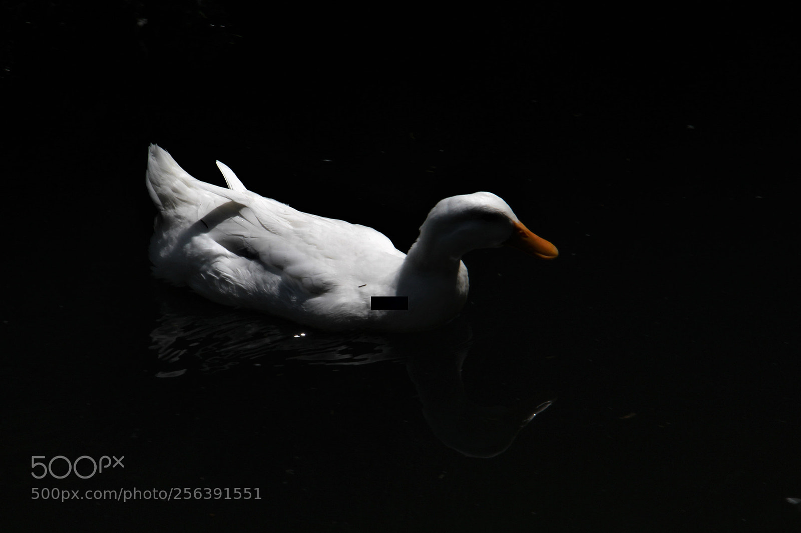 Canon EOS 700D (EOS Rebel T5i / EOS Kiss X7i) sample photo. Untitled photography