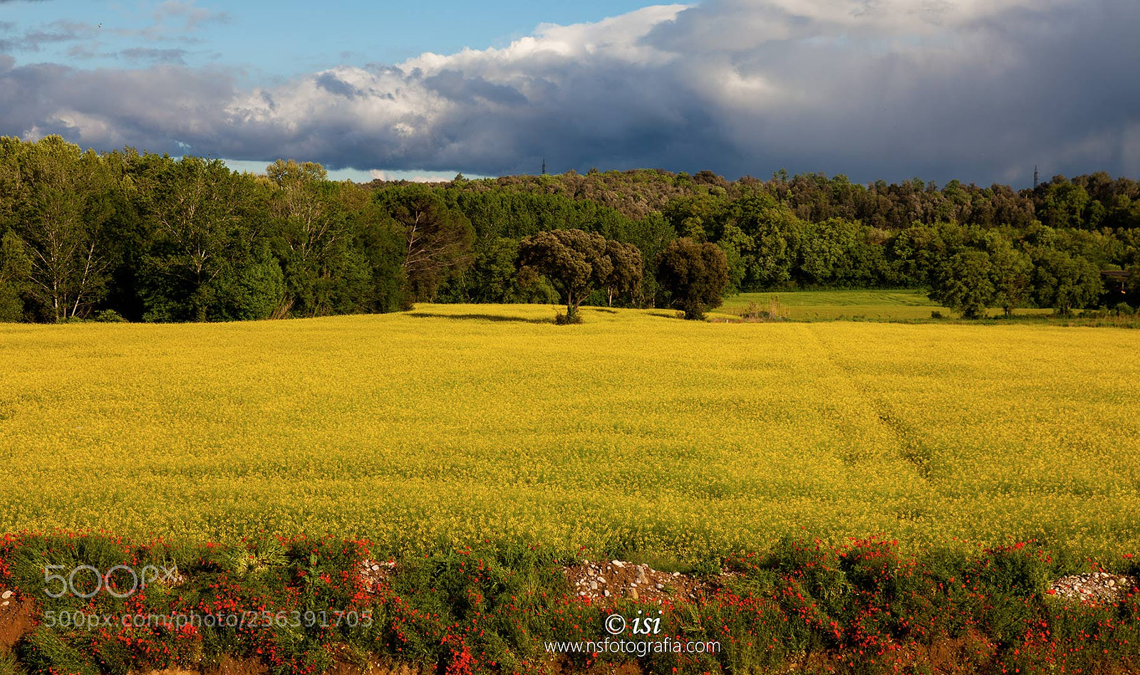 Canon EOS 5D Mark II sample photo. 4 planos photography