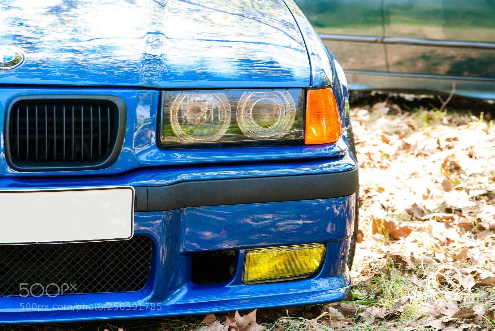 Nikon D80 sample photo. Blue eyes photography