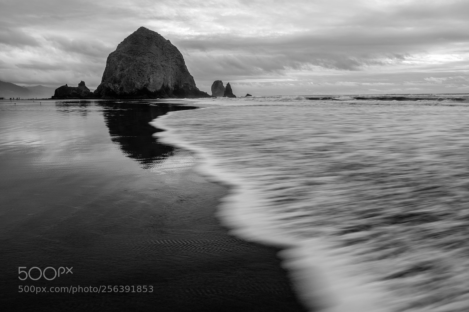 Nikon D7200 sample photo. Haystack rock  photography