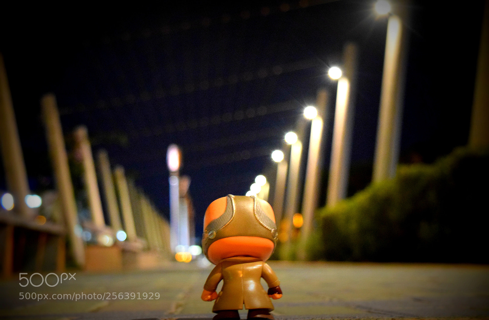 Nikon D3300 sample photo. Bane at bayfront park photography