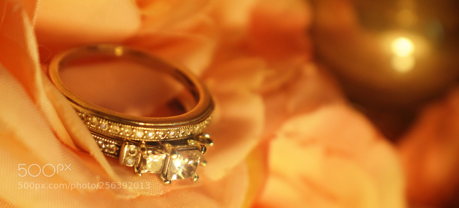 Nikon D3300 sample photo. Roses&love photography