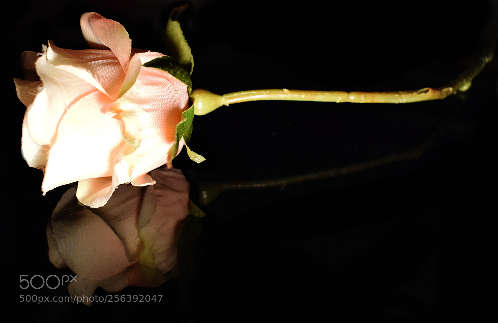 Nikon D3300 sample photo. Untitled photography