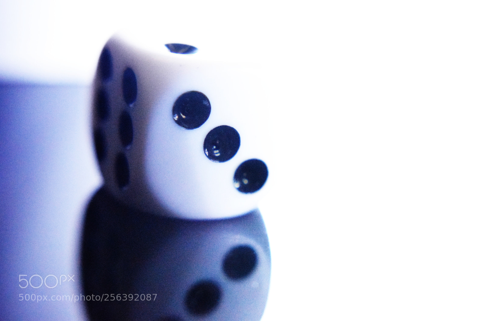 Nikon D3300 sample photo. A single die photography