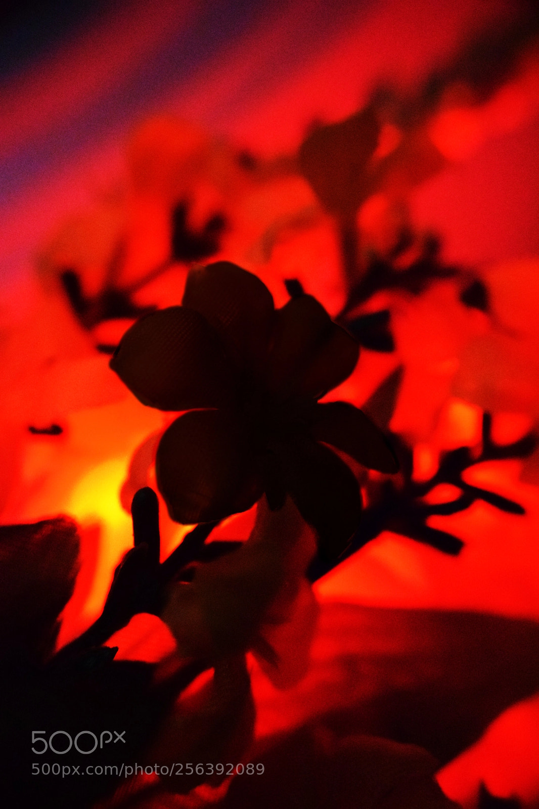 Nikon D3300 sample photo. Sunset light manipulation photography