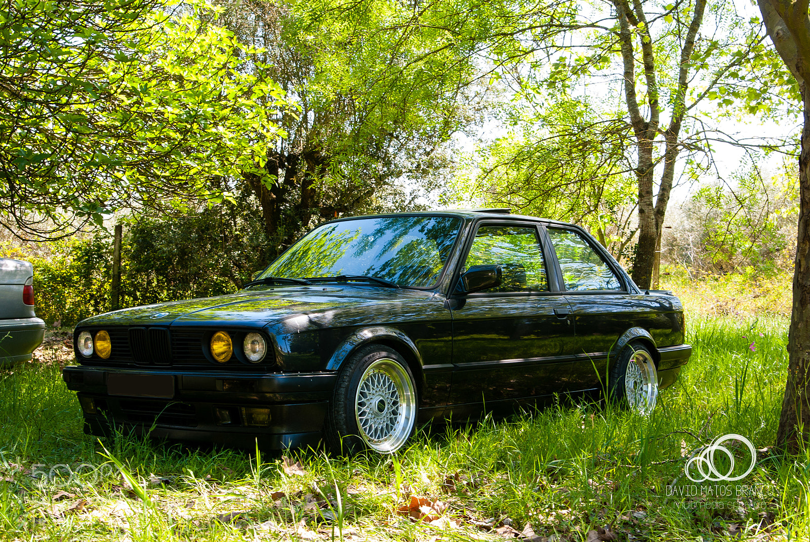 Nikon D80 sample photo. Green beast photography