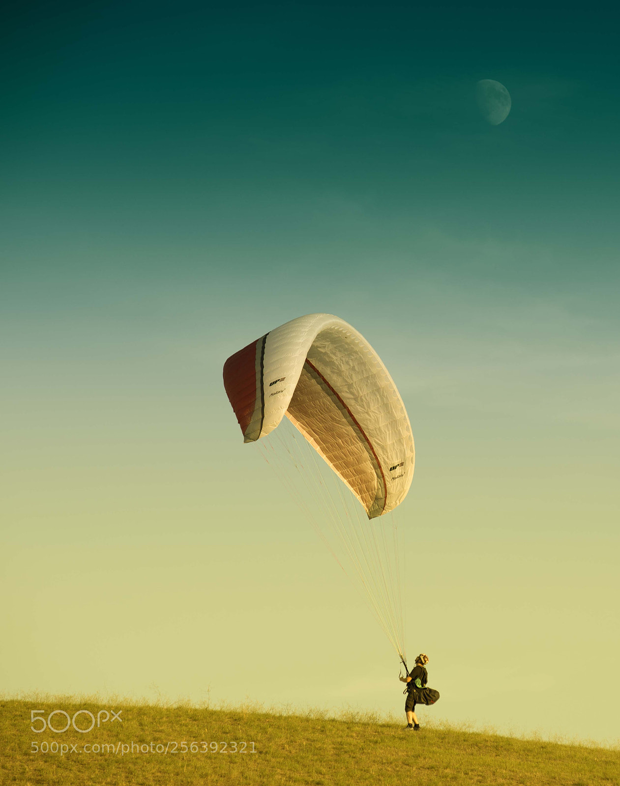 Nikon D750 sample photo. Talk to the moon photography
