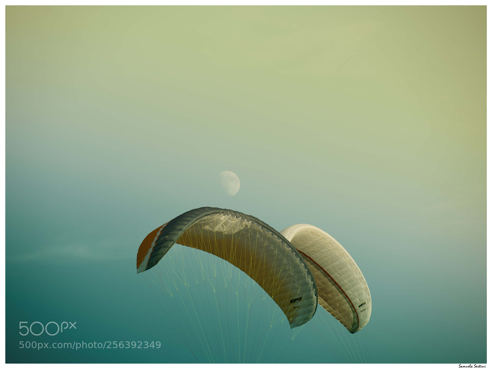 Nikon D750 sample photo. Paragliding photography