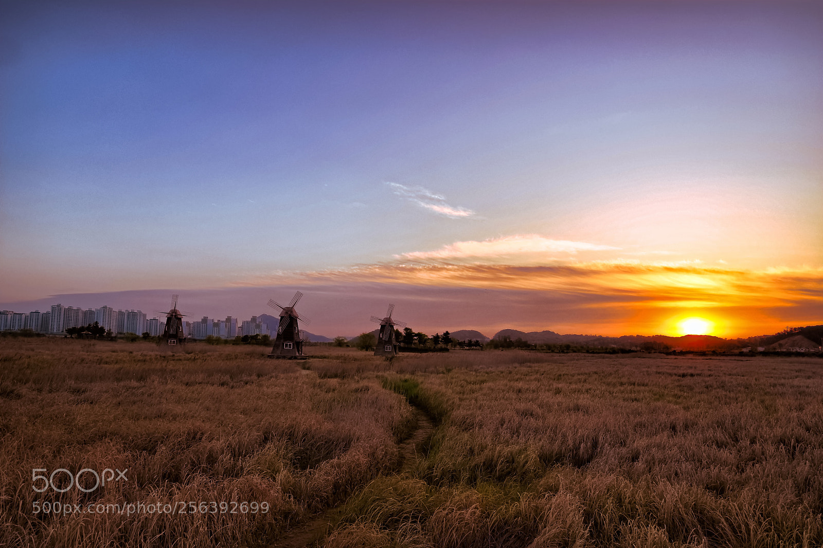 Nikon D500 sample photo. The sunrise of a photography