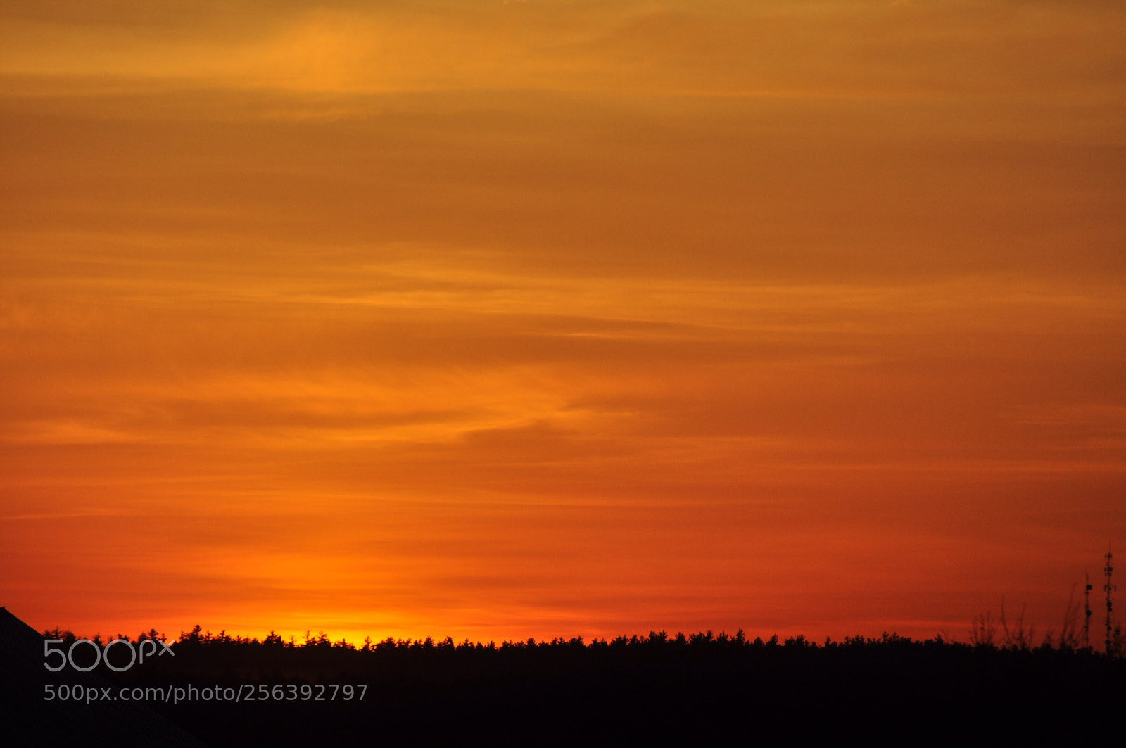 Nikon D5000 sample photo. Sky fire photography