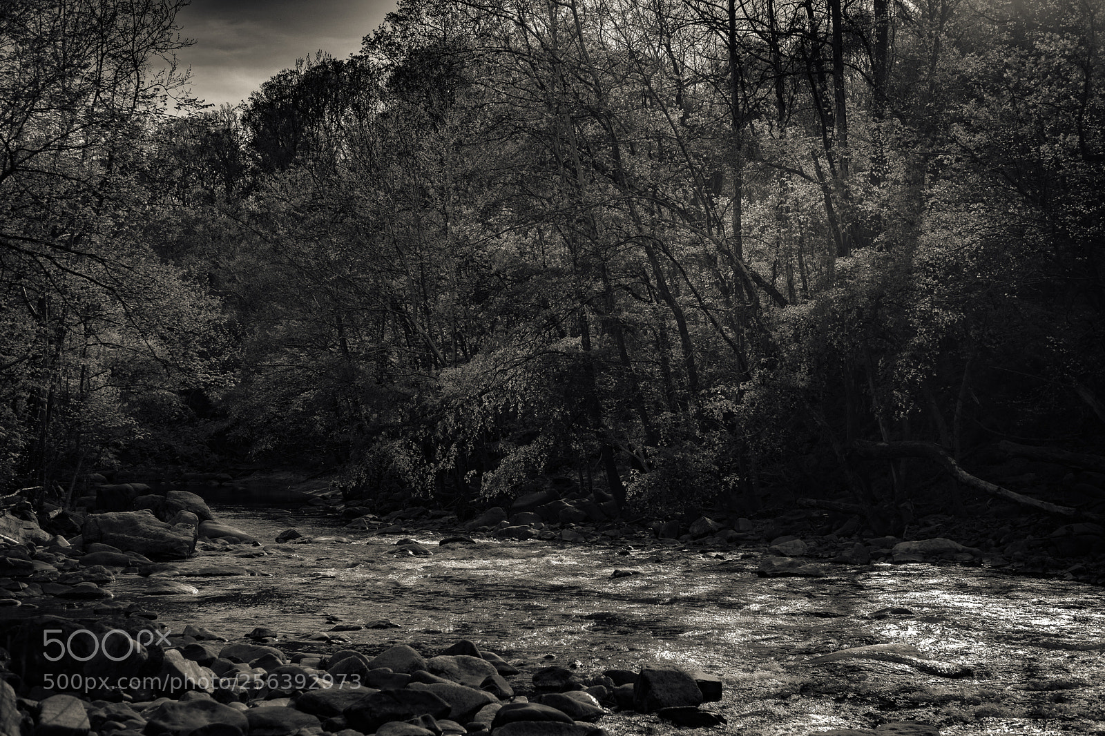 Fujifilm X-Pro2 sample photo. Patapsco river at oella photography