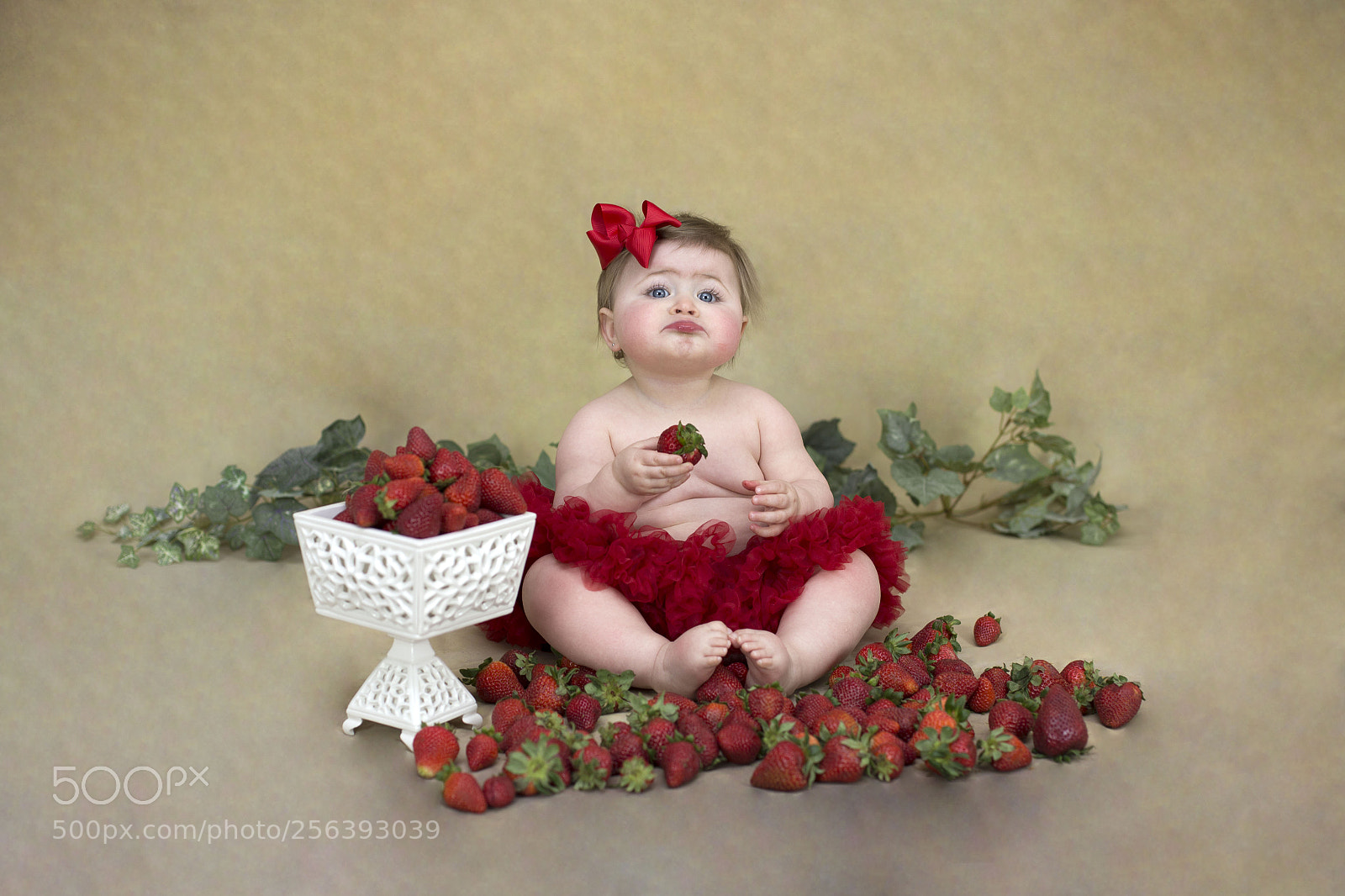 Canon EOS 6D sample photo. Img photography