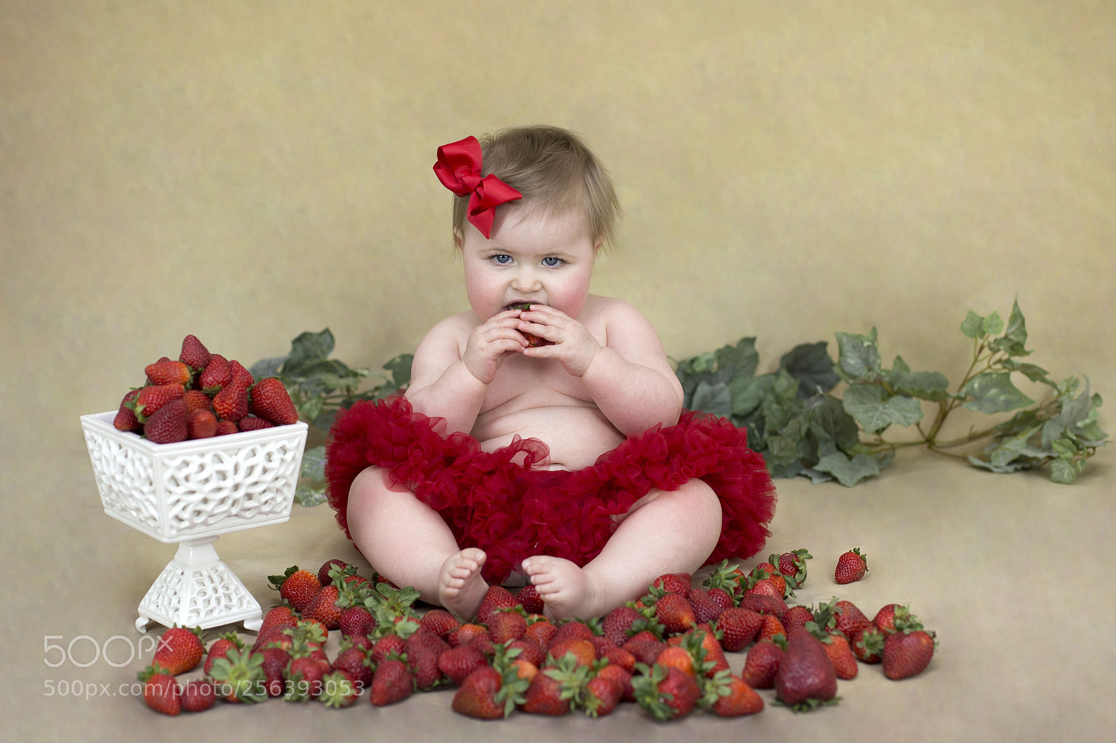 Canon EOS 6D sample photo. A photography