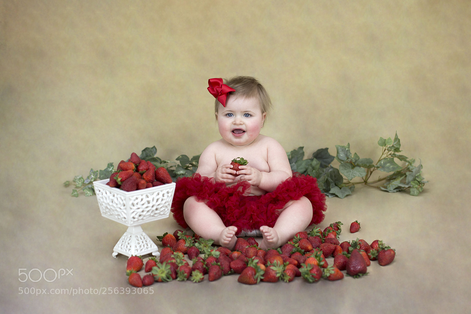 Canon EOS 6D sample photo. Img photography