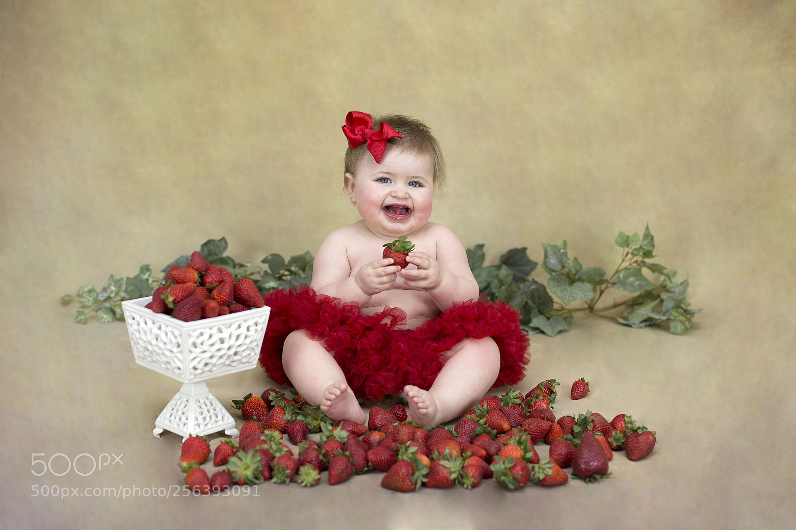 Canon EOS 6D sample photo. Img photography