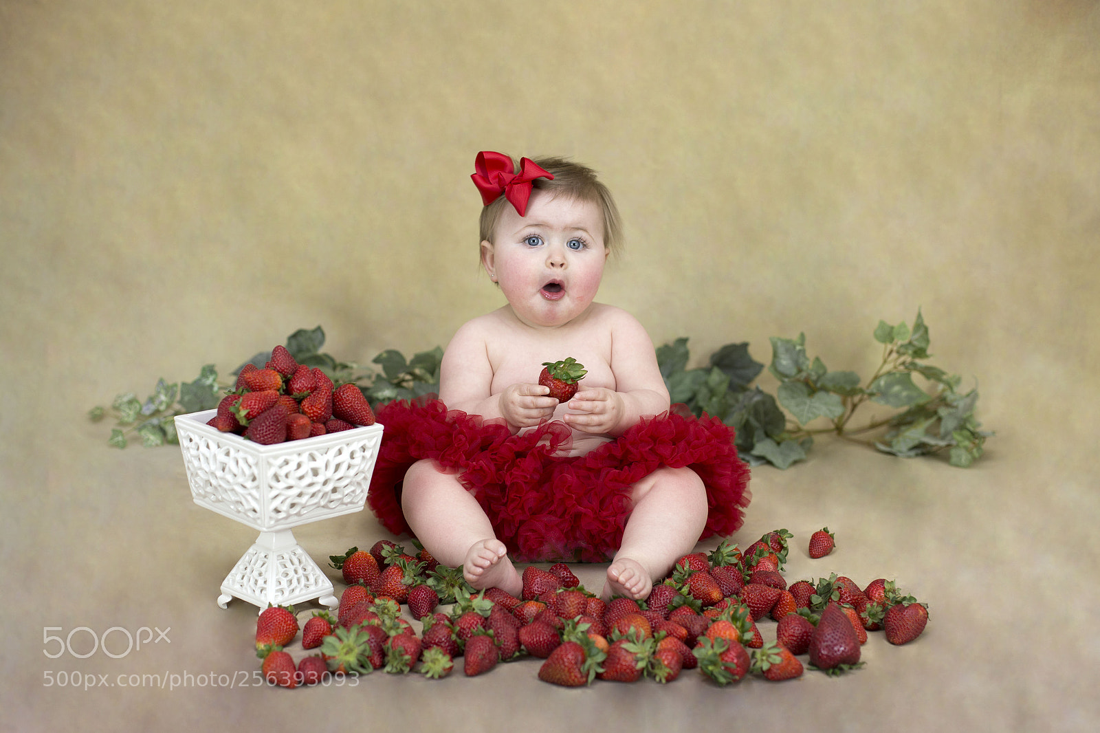 Canon EOS 6D sample photo. Img photography