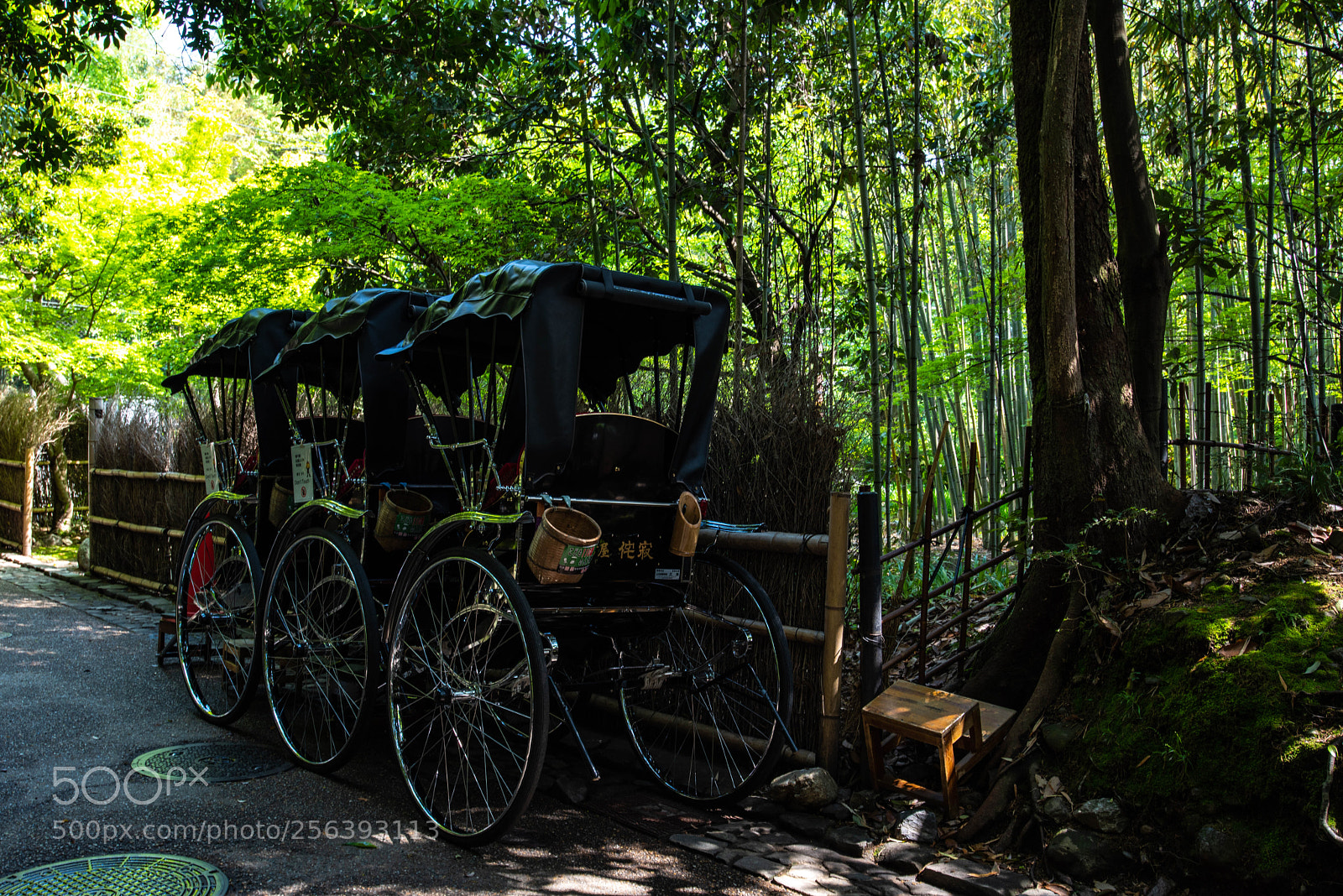 Nikon D810 sample photo. Rikisya photography