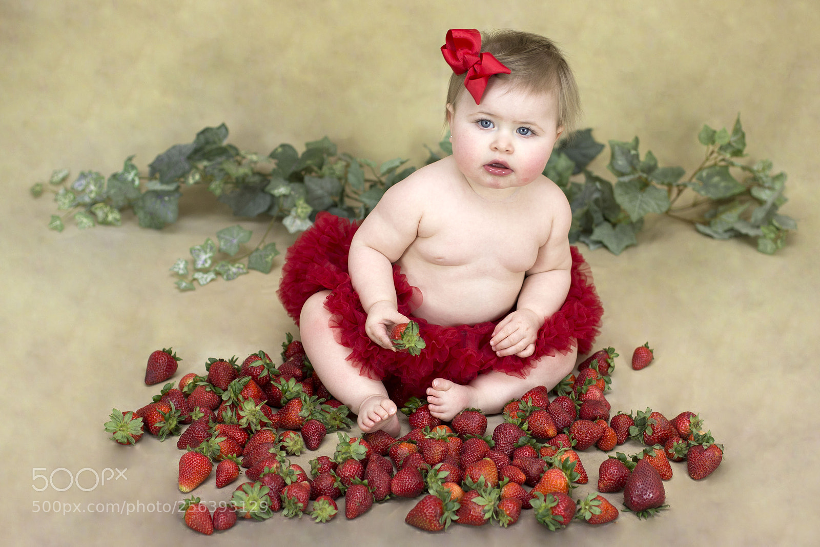 Canon EOS 6D sample photo. A photography