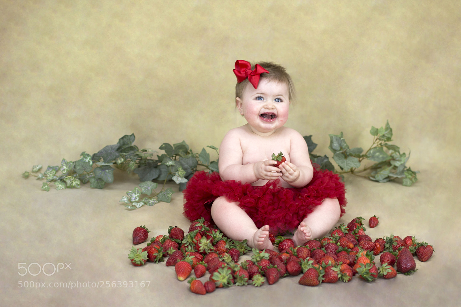 Canon EOS 6D sample photo. A photography