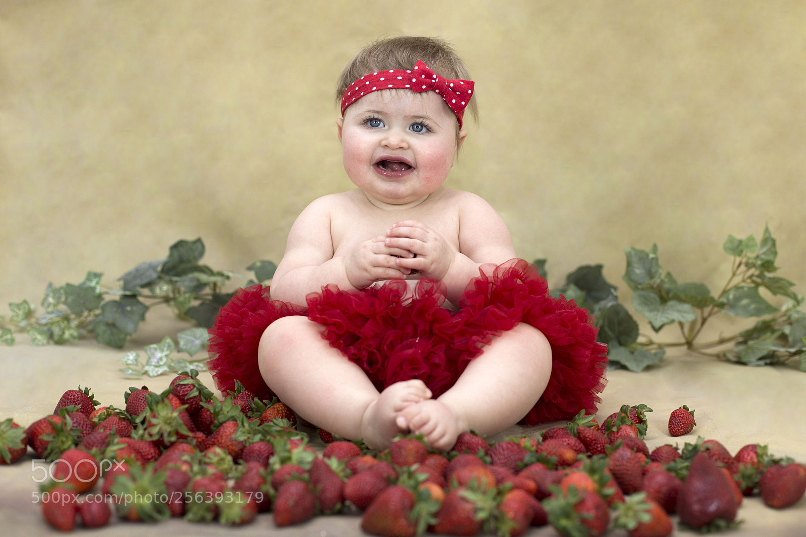 Canon EOS 6D sample photo. Img photography
