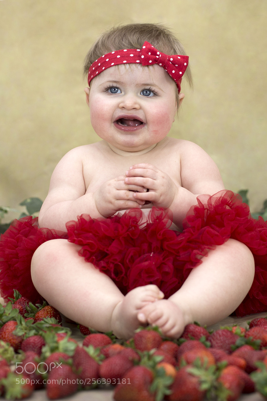 Canon EOS 6D sample photo. A photography