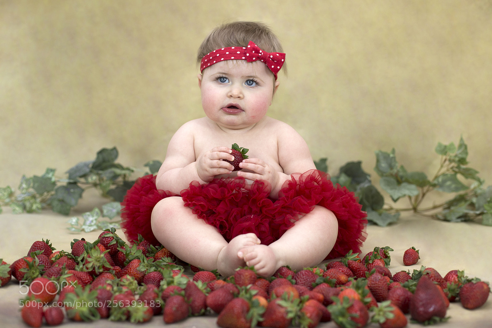 Canon EOS 6D sample photo. Img photography