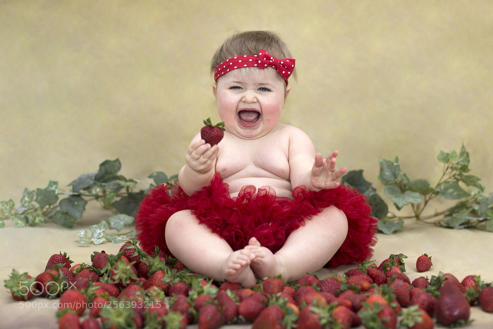 Canon EOS 6D sample photo. Img photography