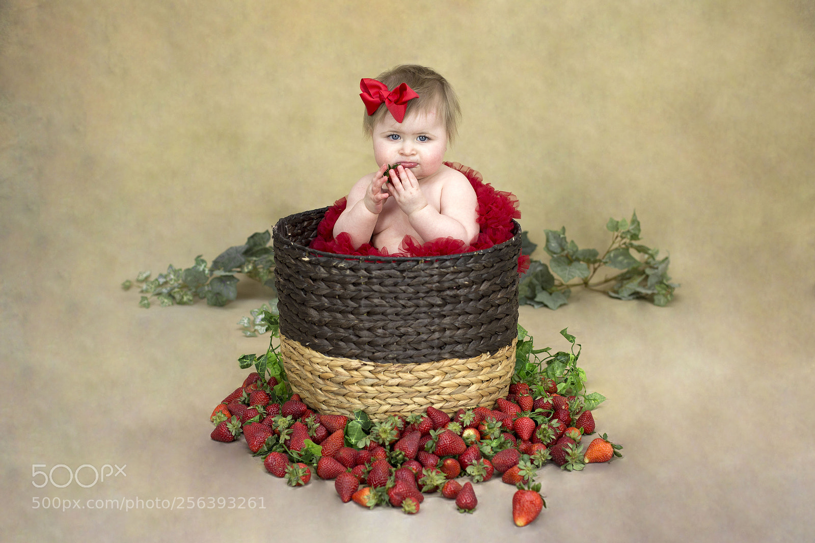 Canon EOS 6D sample photo. Img photography