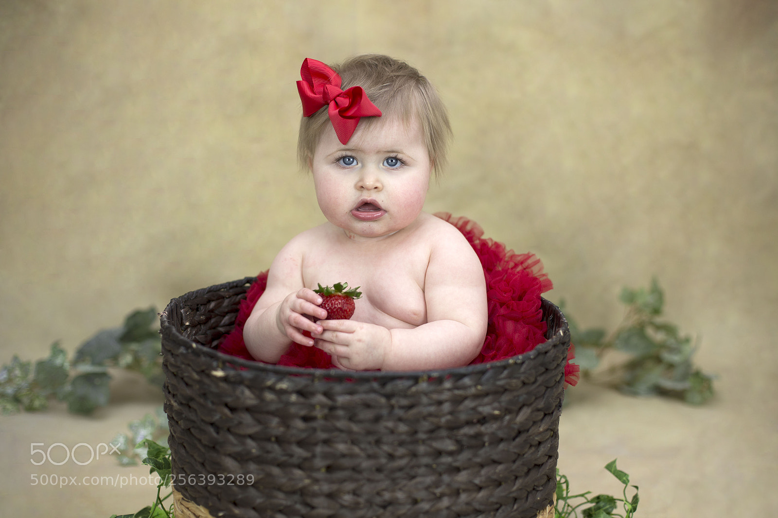 Canon EOS 6D sample photo. Img photography
