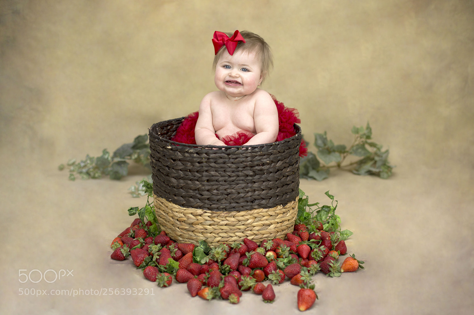 Canon EOS 6D sample photo. Img photography