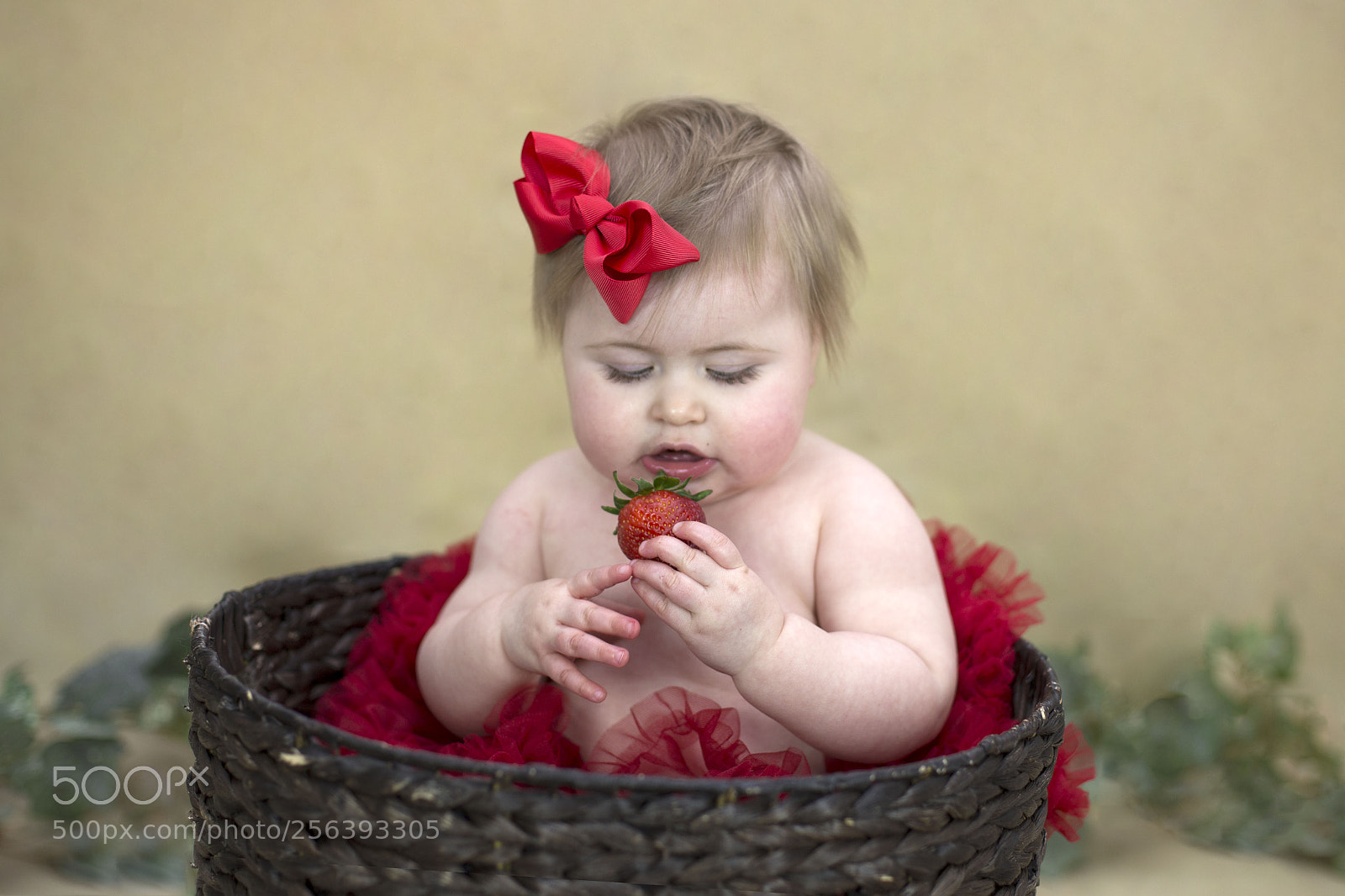 Canon EOS 6D sample photo. A photography