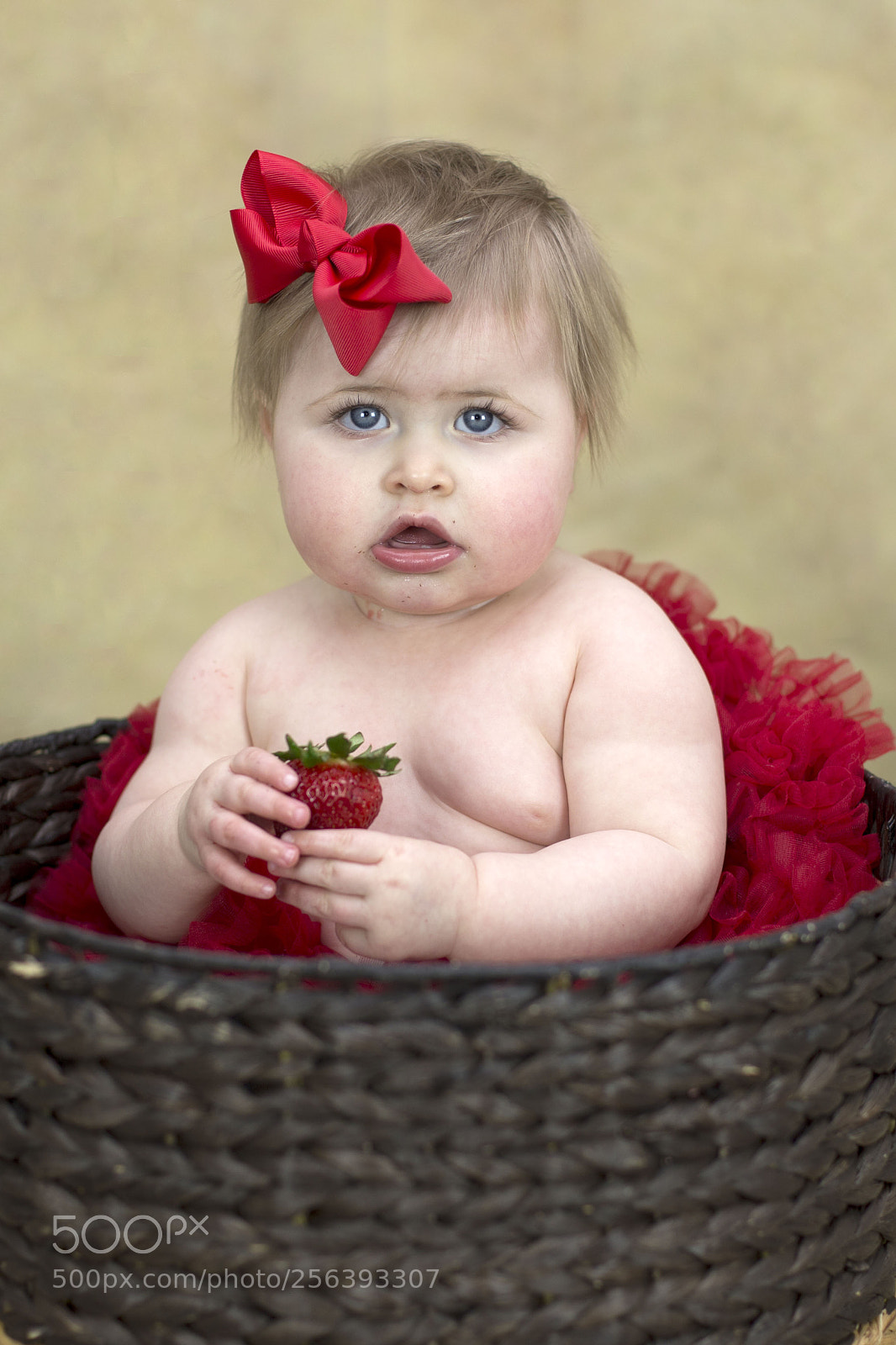 Canon EOS 6D sample photo. A photography
