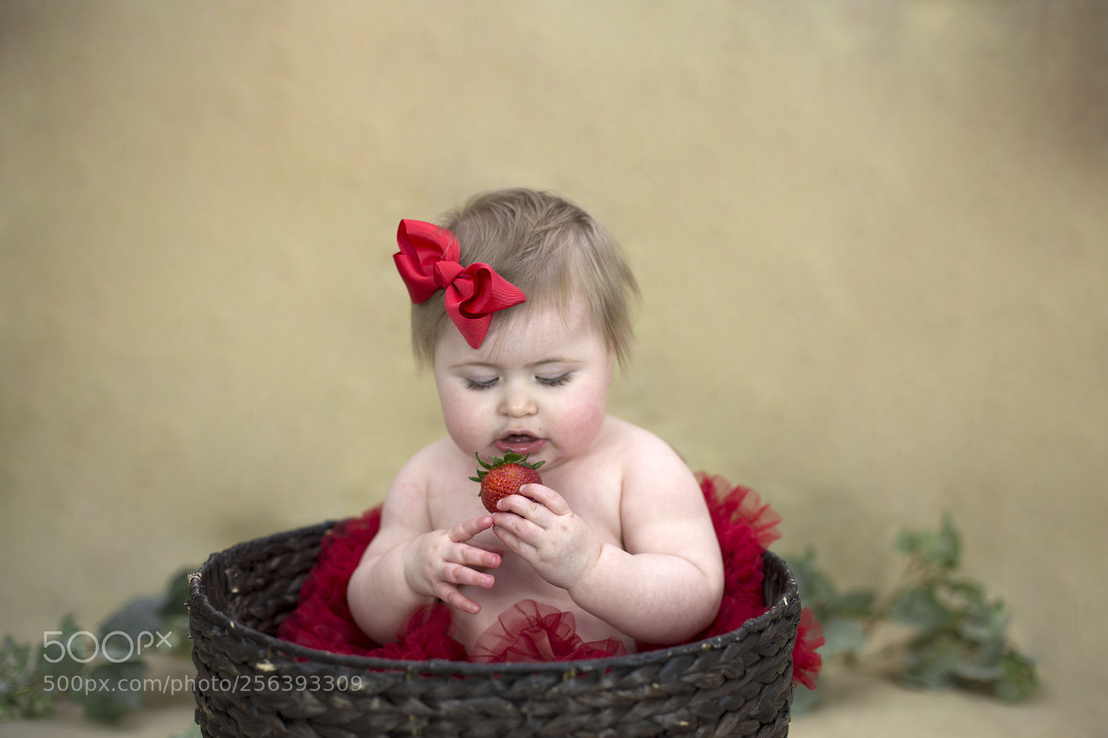 Canon EOS 6D sample photo. Img photography