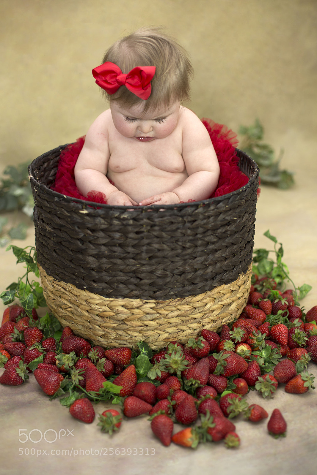 Canon EOS 6D sample photo. Img photography