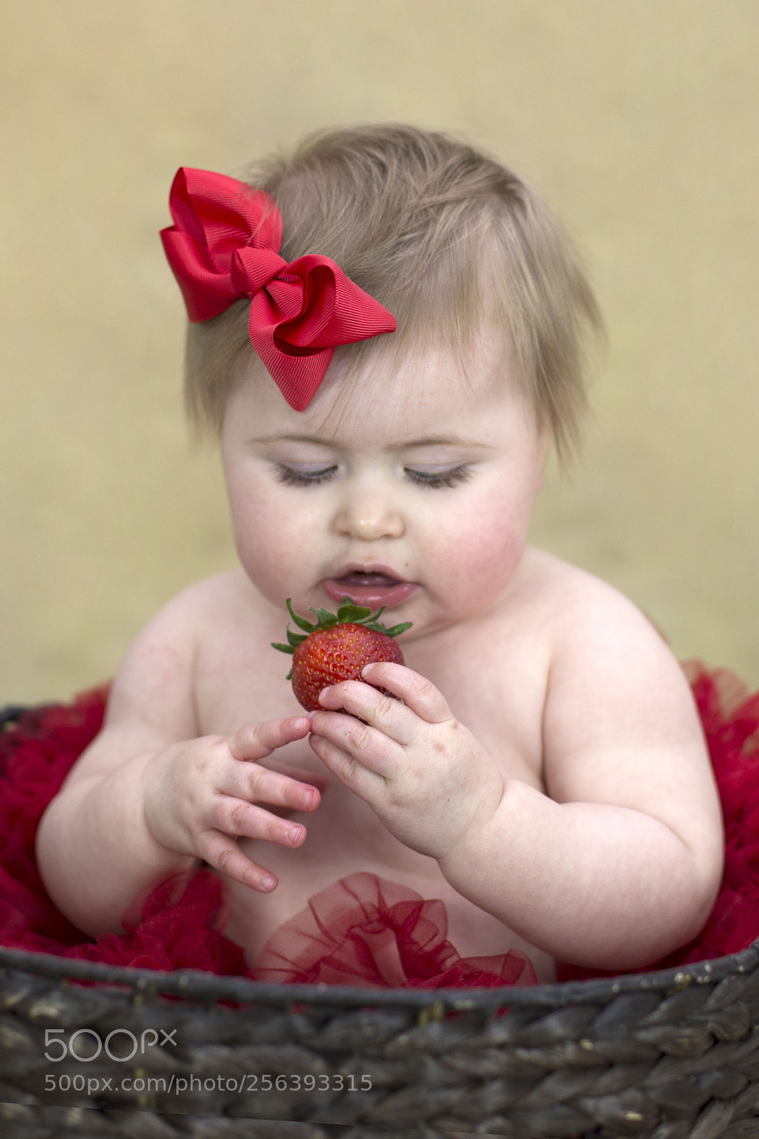 Canon EOS 6D sample photo. B photography