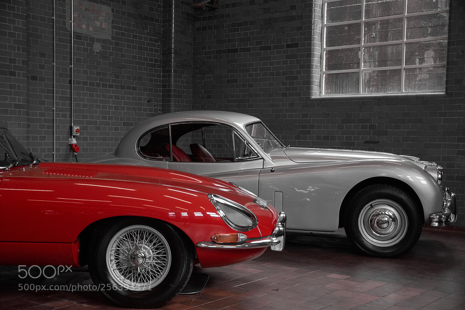 Nikon D7200 sample photo. Classic jaguar photography