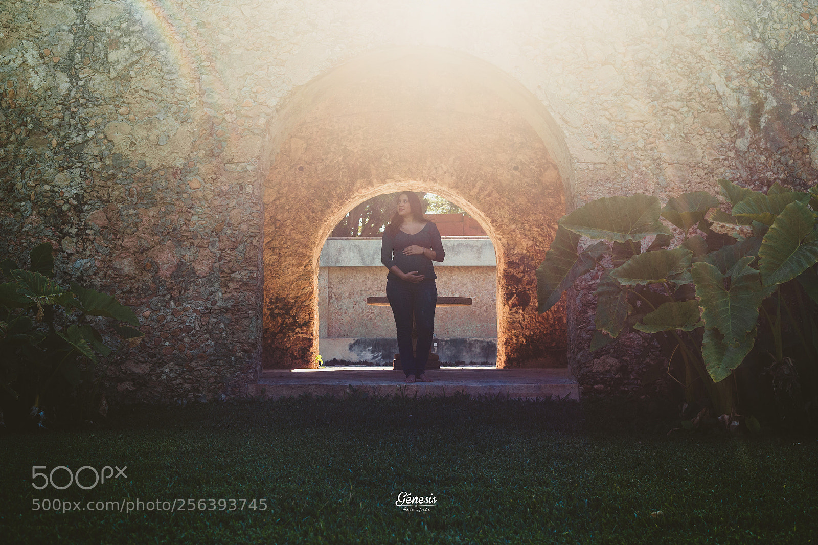 Canon EOS 6D sample photo. Copia photography