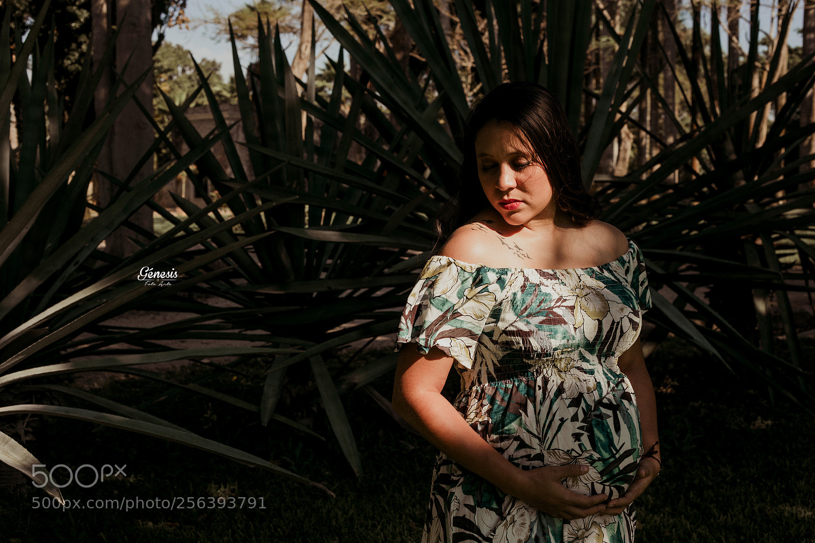 Canon EOS 6D sample photo. Copia photography