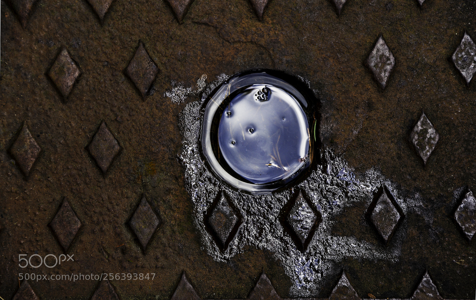 Nikon D7200 sample photo. Manhole cover photography
