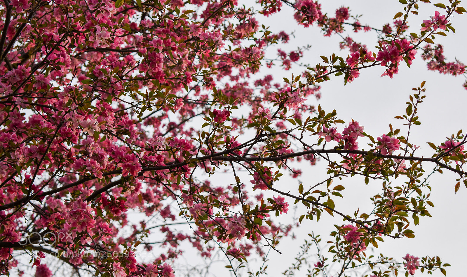 Nikon D3400 sample photo. Dsc_0020-2.jpg photography