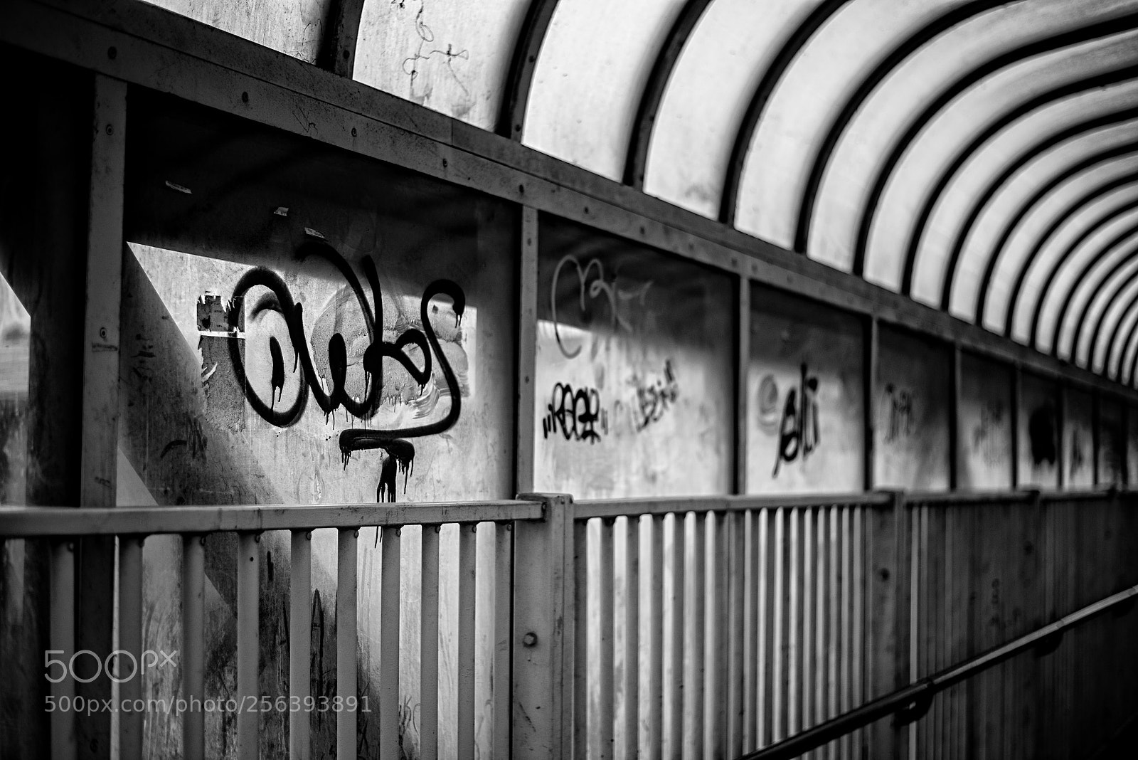 Nikon D800 sample photo. Cycle bridge photography