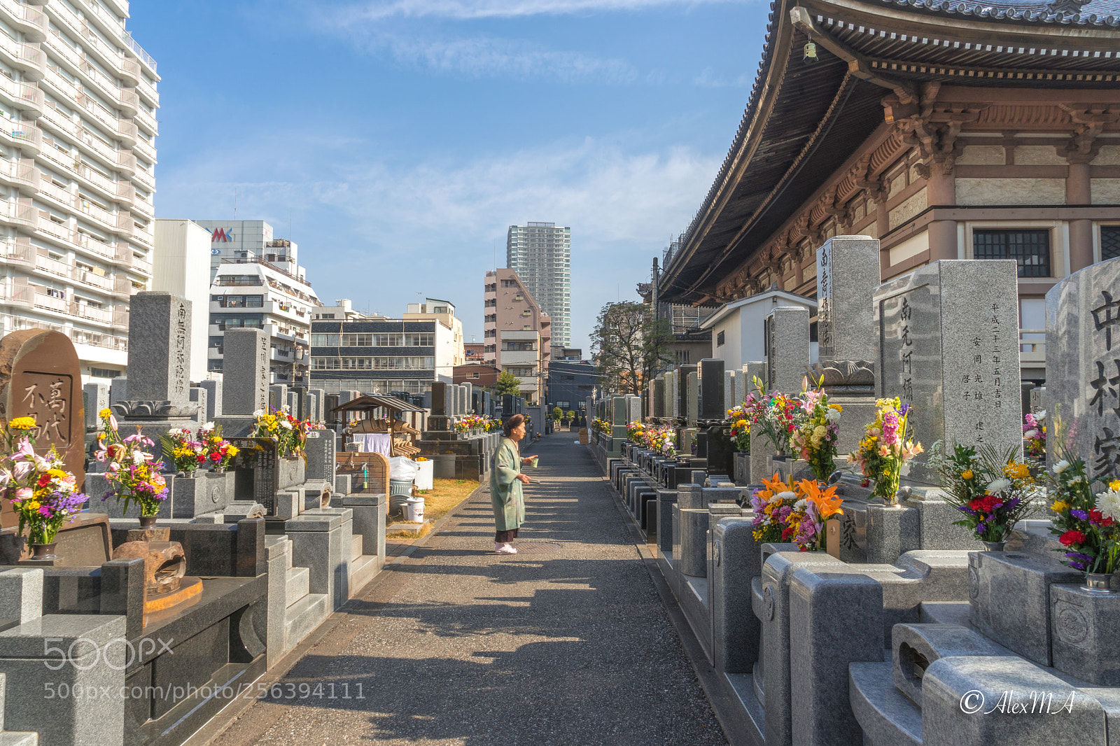 Sony a7 sample photo. Visit photography