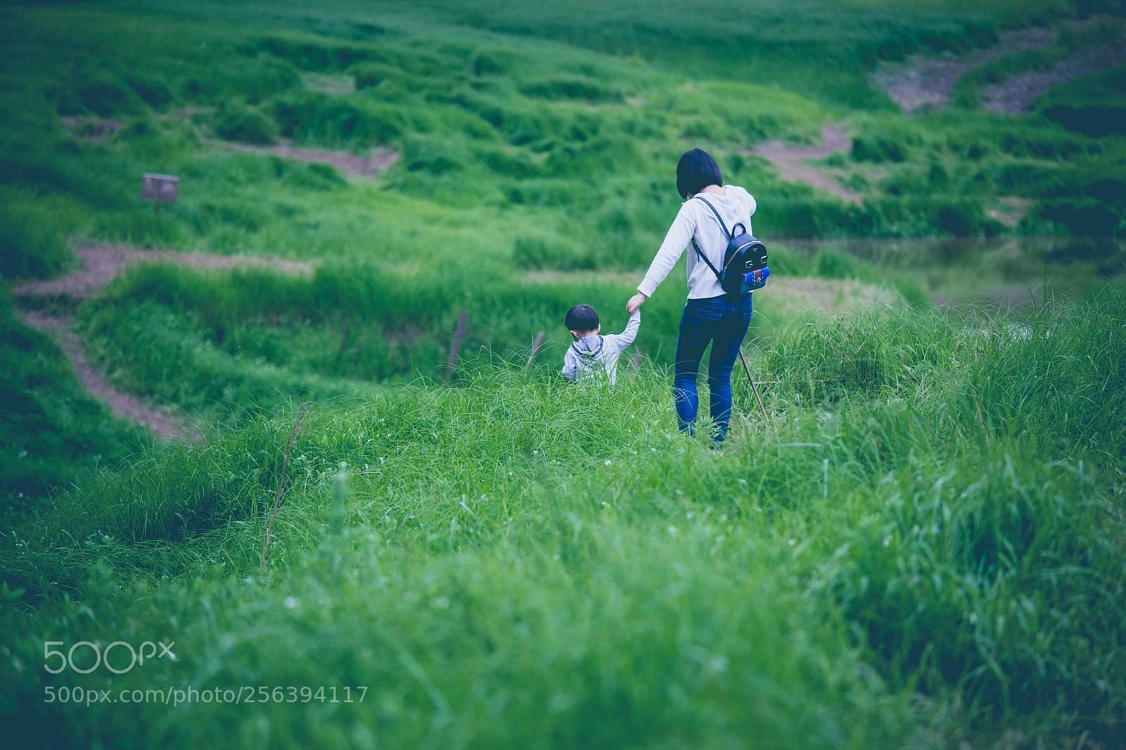 Canon EOS 6D sample photo. 踏青 photography