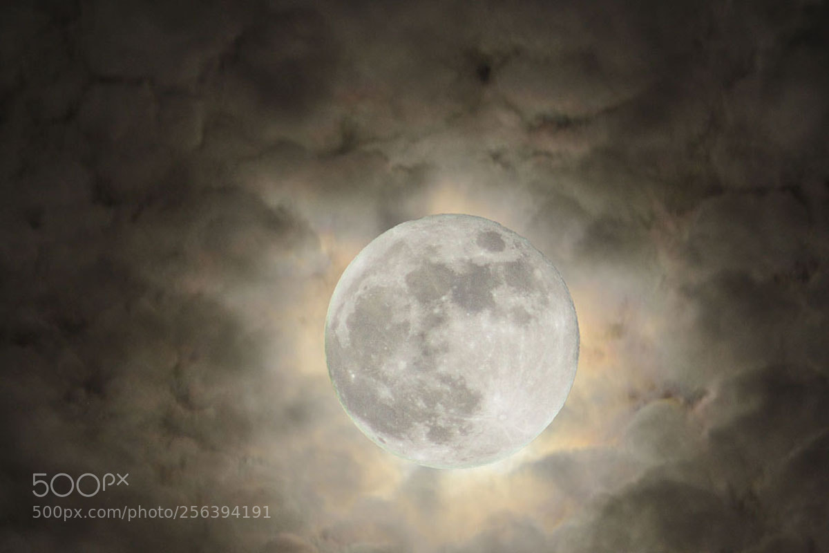 Nikon D7200 sample photo. The moon # photography